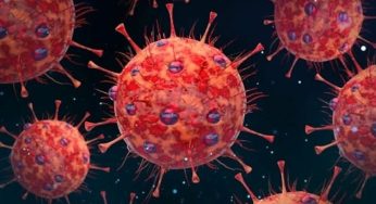 Virus HKU5 Muncul di China, Berpotensi Jadi Pandemi Global?