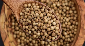 Tak Disangka, Bumbu Dapur Ini Bisa Jadi Senjata Ampuh Lawan Diabetes dan Kanker!