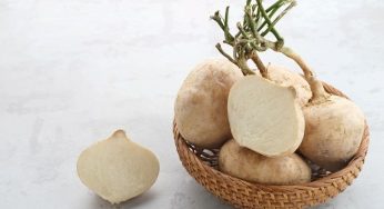 Manfaat Bengkuang, Si Putih Segar Penjaga Jantung dan Usus