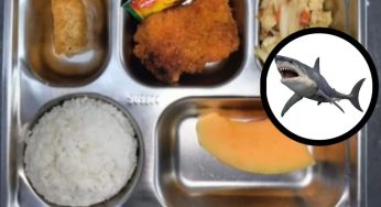 Keracunan Massal Siswa, Apa yang Salah dari Menu Ikan Hiu MBG?
